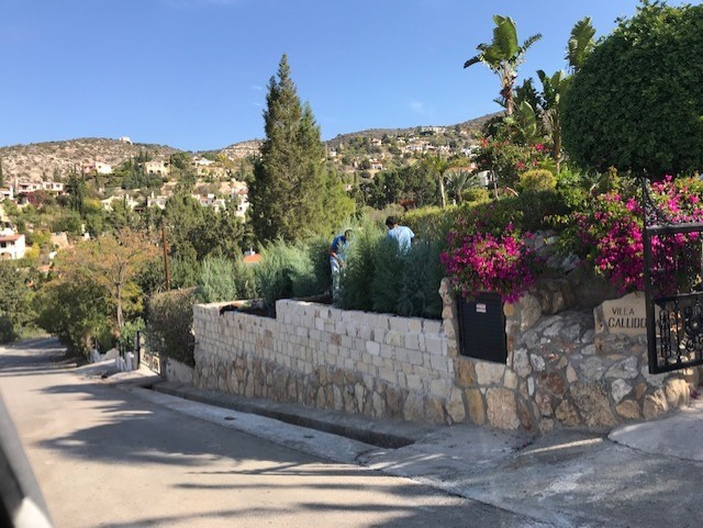 STONE WALL AND HEDGE PLANTING