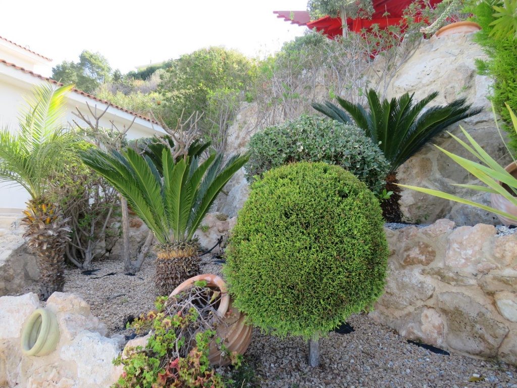 gardening